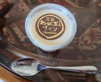 僕についての本はない